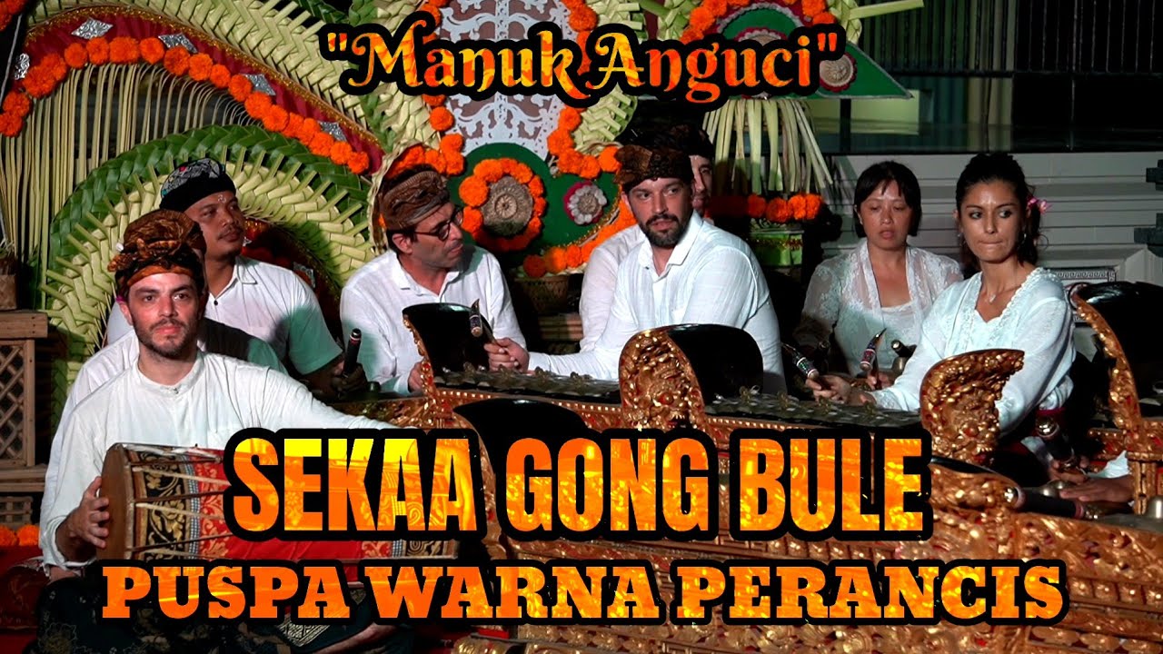 Sekaa Gong Bule😍 | Manuk Anguci