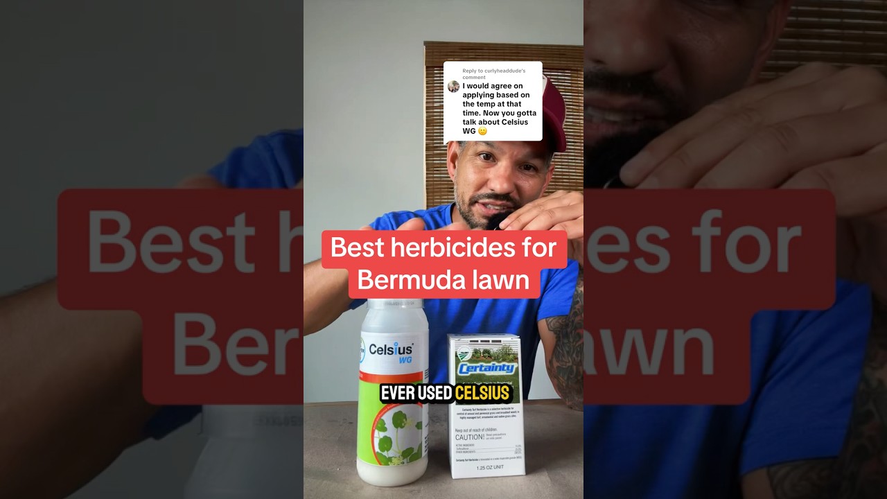 The best herbicide combo for controlling weeds in Bermuda grass