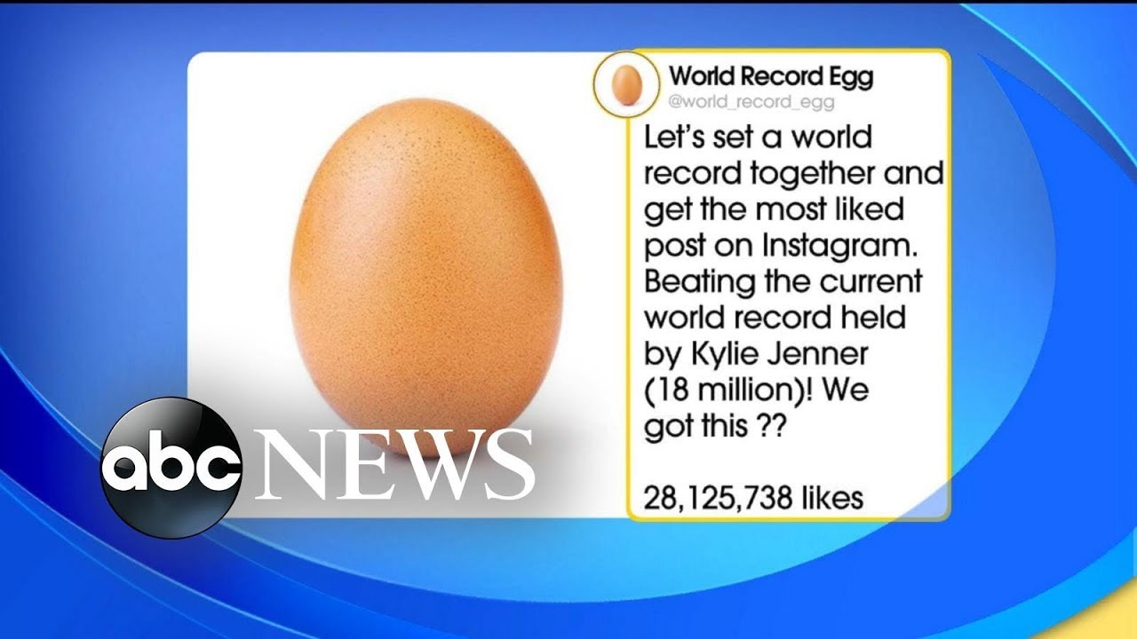 World record egg breaks the internet
