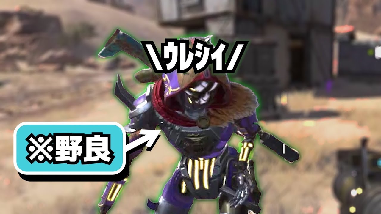 野良さんの誕生日を祝ったら可愛かった【APEX】