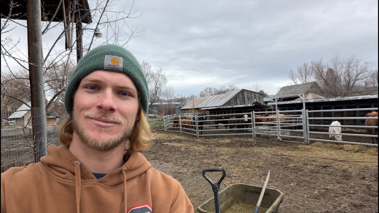 More Fence Work / Kennel Work / Snow and Single Digit Temps Call For Cover! Sunday Family Day