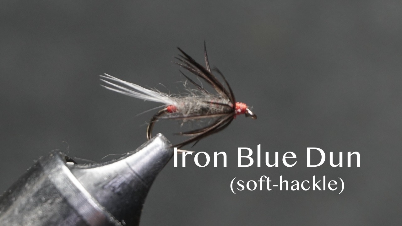 Iron Blue Dun: a soft-hackle from Sylvester Nemes’s The Soft-Hackled Fly