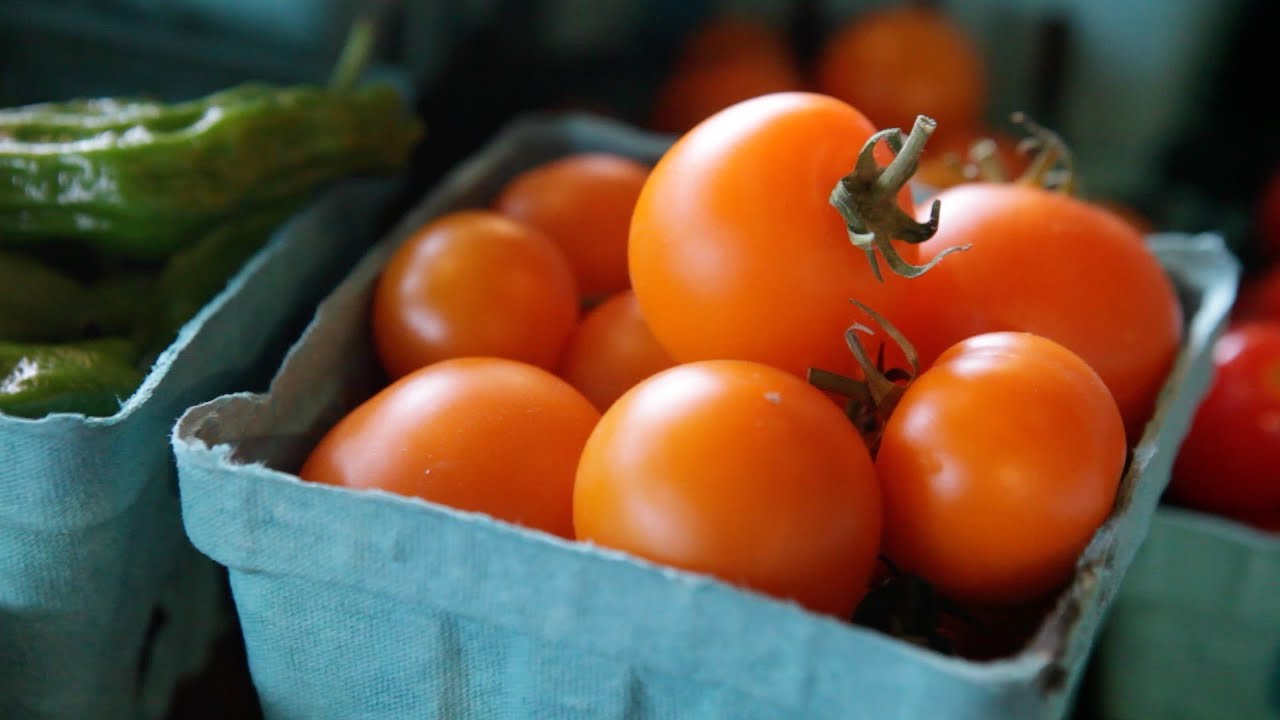5 Oregon tomatoes to elevate your summer