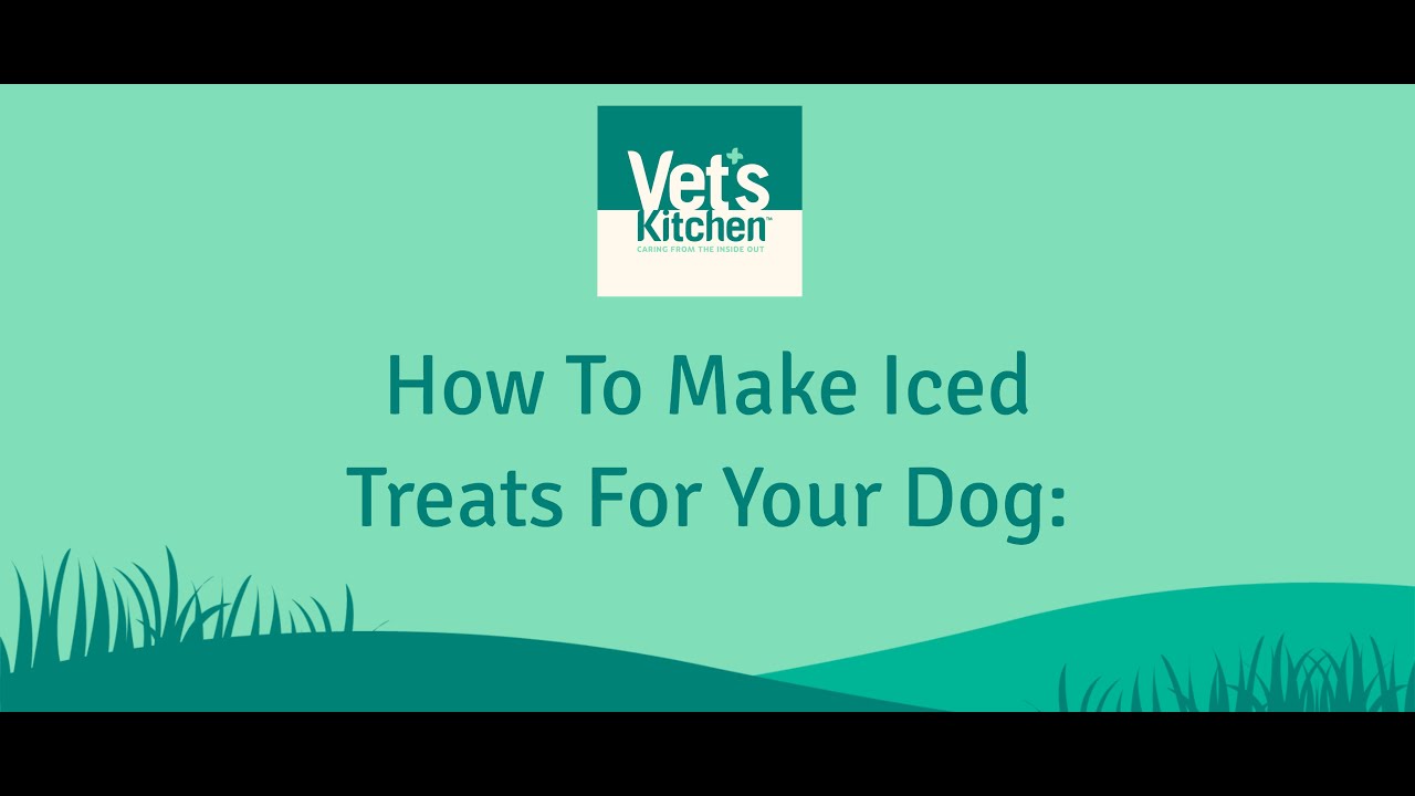 How to Make Ice Treats For Dogs