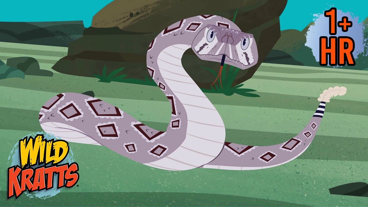 BE CAREFUL, IT'S POISONOUS | Snakes and More Poisonous Animals | Wild Kratts | 9 Story Kids