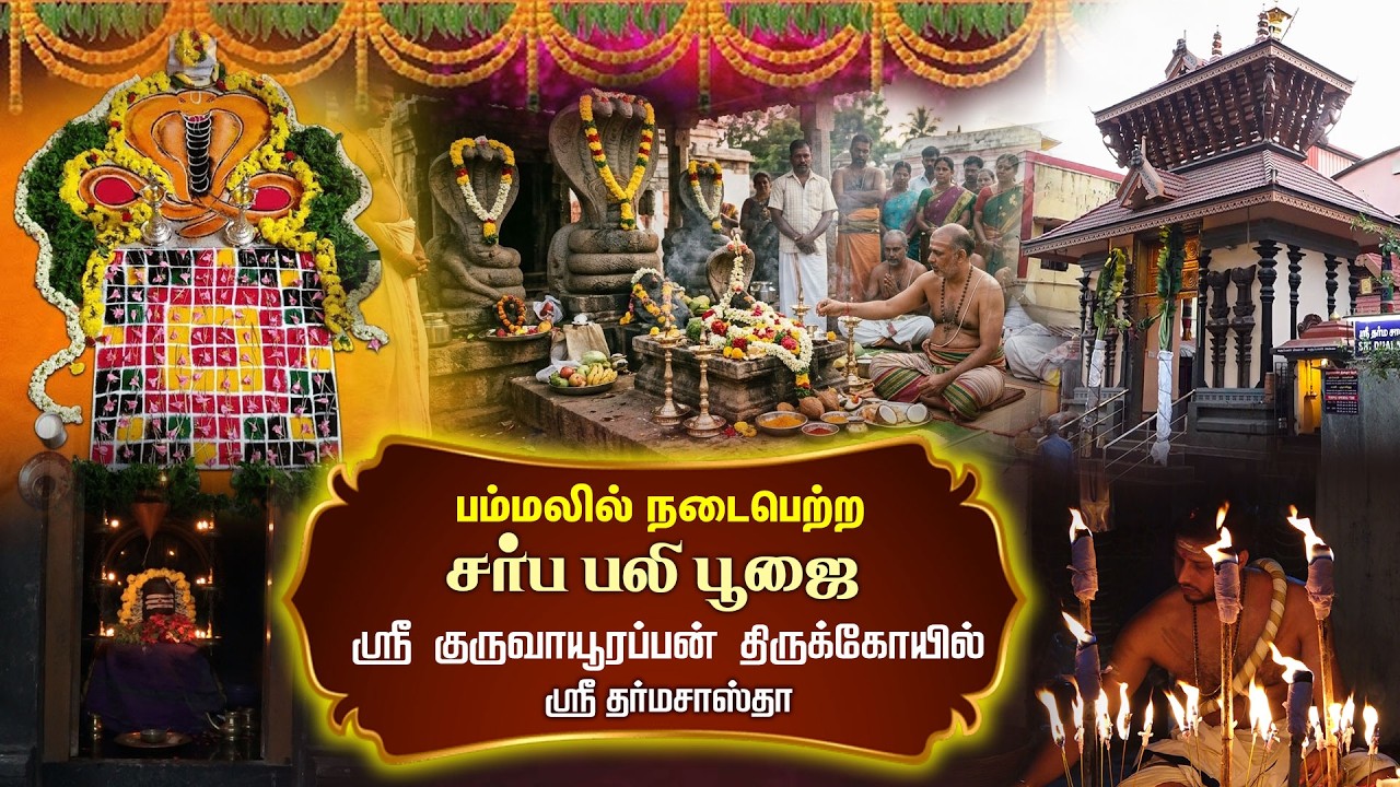 சர்ப்ப தோஷத்தை நீக்கும் சர்ப பலி பூஜை | ஸ்ரீ குருவாயூரப்பன் திருக்கோயில் | Sarpa Bali Poojai