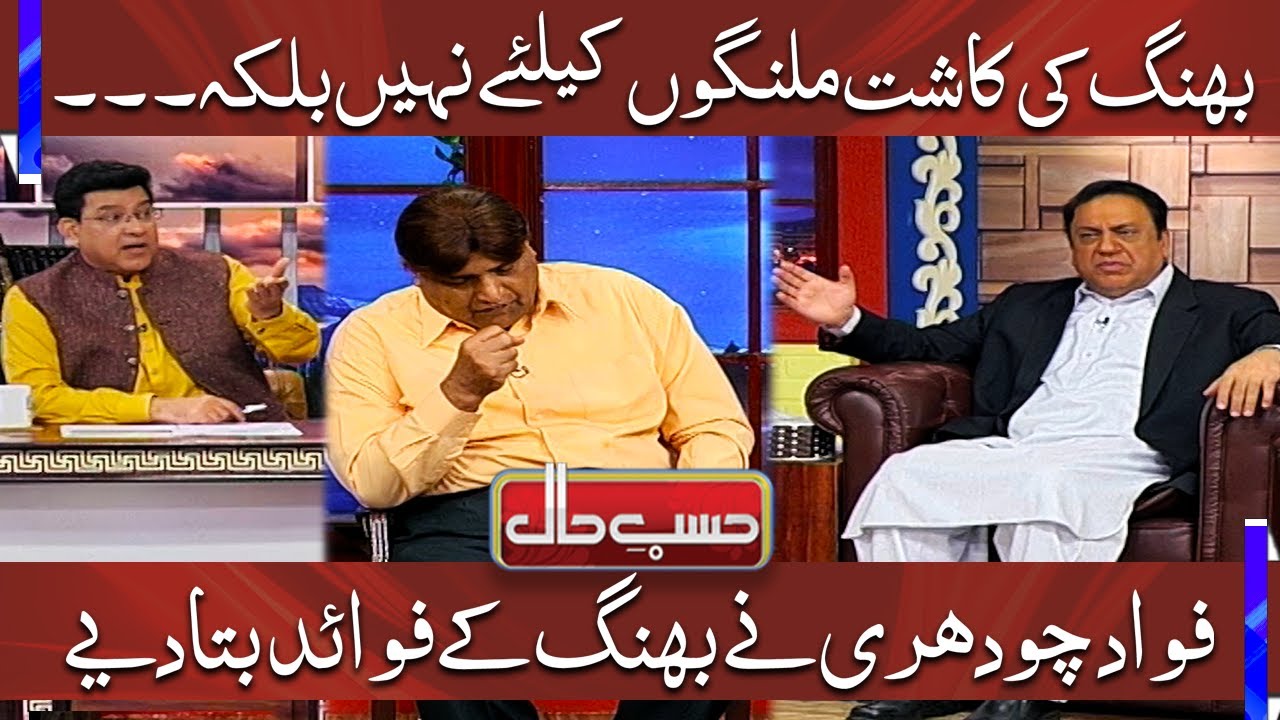 Benefits of Cannabis (Bhang) | Azizi as Fawad Chaudhry | Hasb e Haal