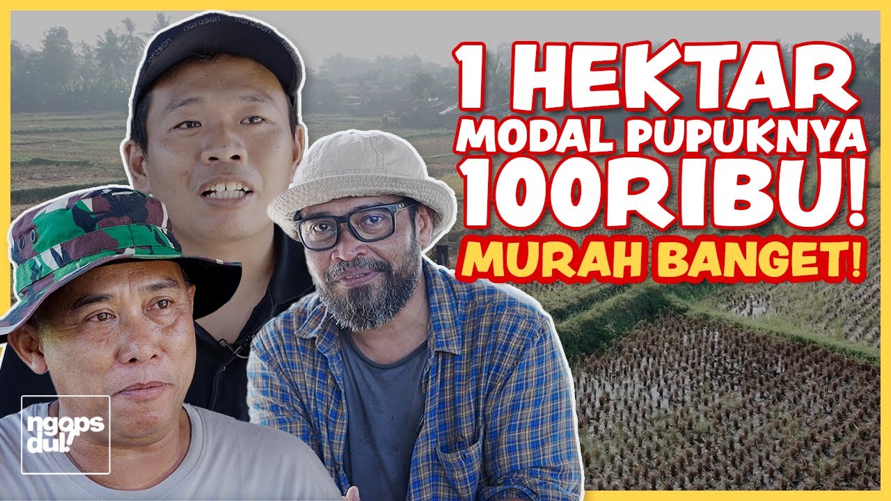 SETELAH LIHAT HASILNYA BANYAK YANG MINAT, KARENA MURAH! | NGOPSDUL