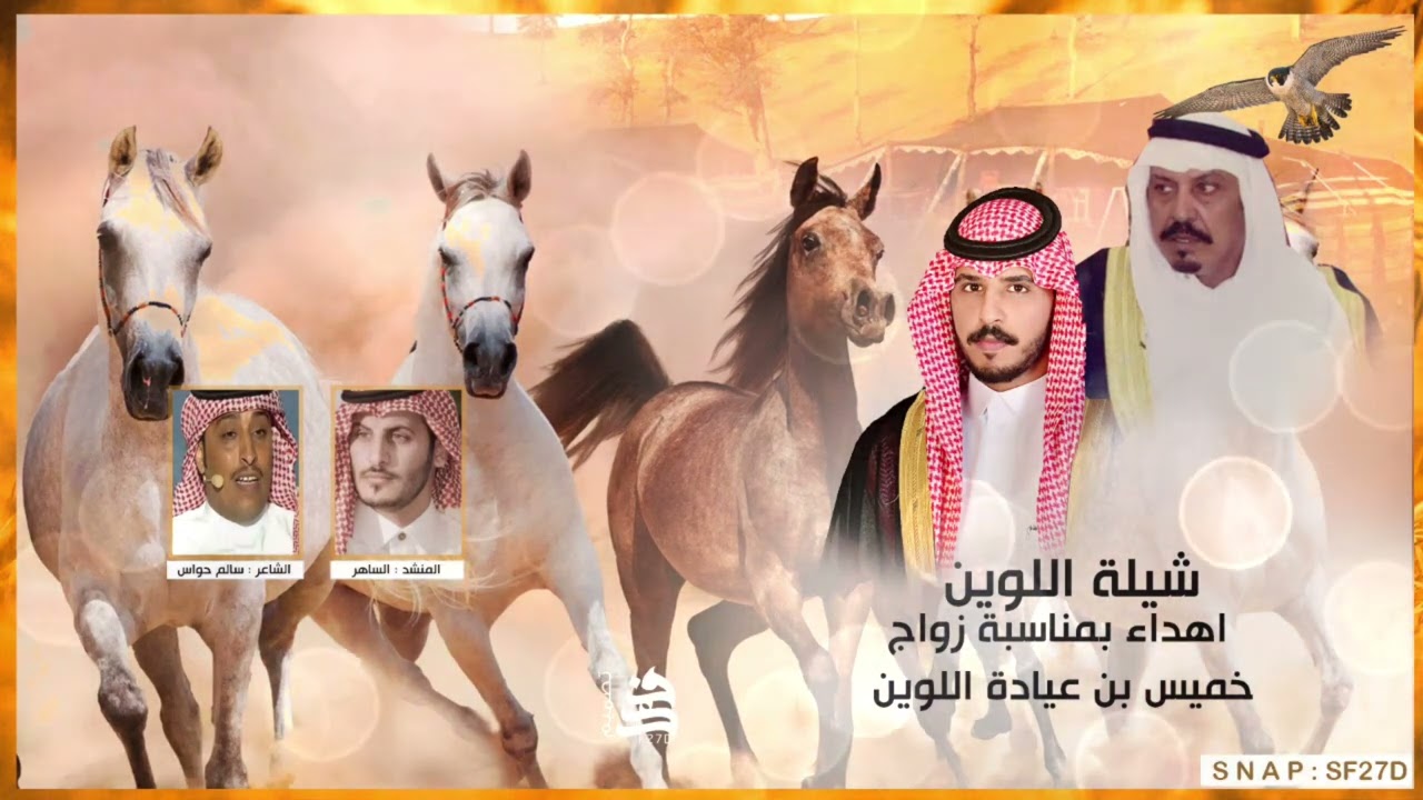 شيلة اللوين اهداء بمناسبة زواج خميس عياده اللوين - كلمات الشاعر : سالم حواس - اداء المنشد : الساهر