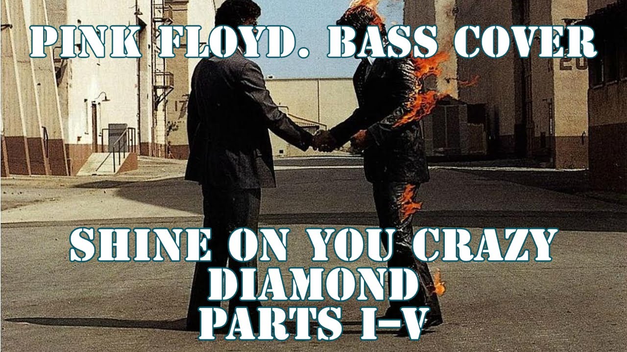 Shine On You Crazy Diamond, Parts I–V - Pink Floyd - Bass cover with tabs