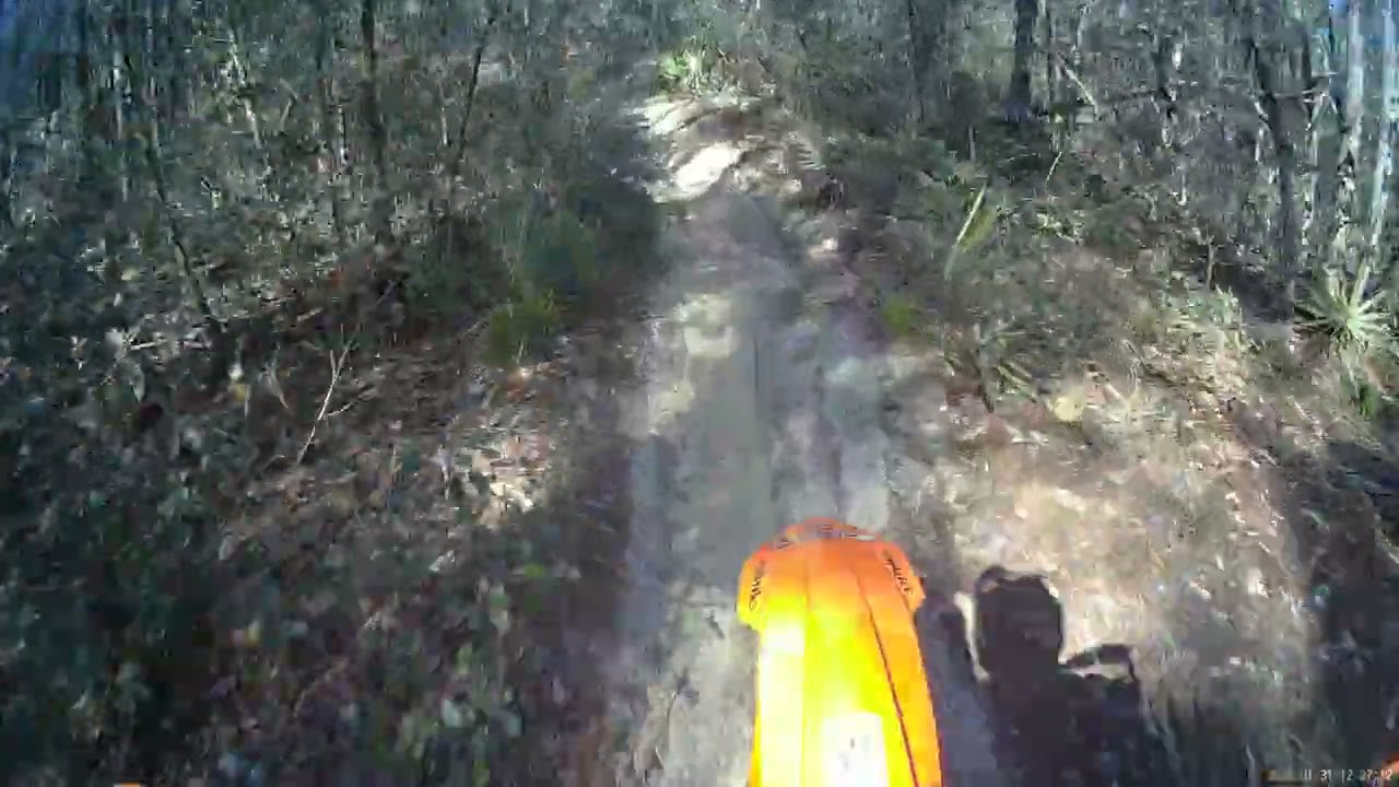 Green Trail 31 Jan