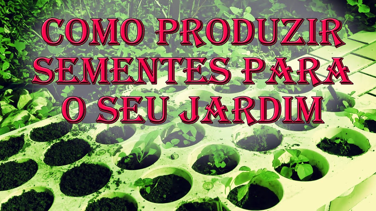 Como Produzir Sementes Para O Seu Jardim