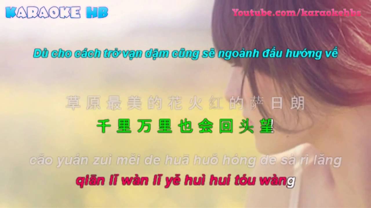 Tát Nhật Lãng Rực Rỡ | 火红的萨日朗 | Huo hong de sa ri lang [ kara+vietsub ]