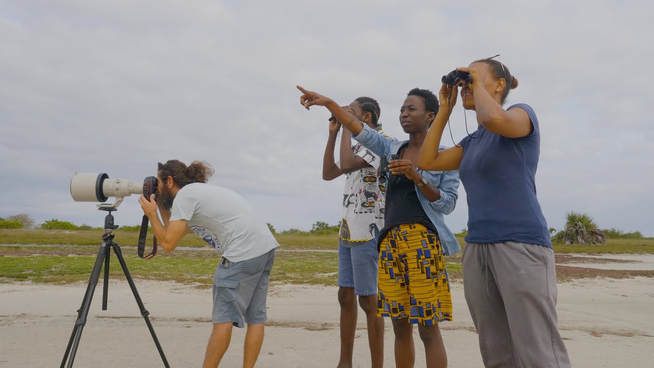 The Benefits of Birdwatching