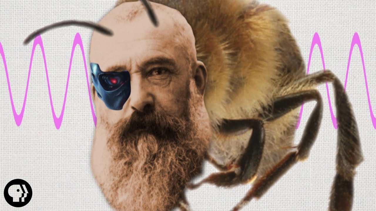 How Artist Claude Monet Was Kind Of Like a Honeybee
