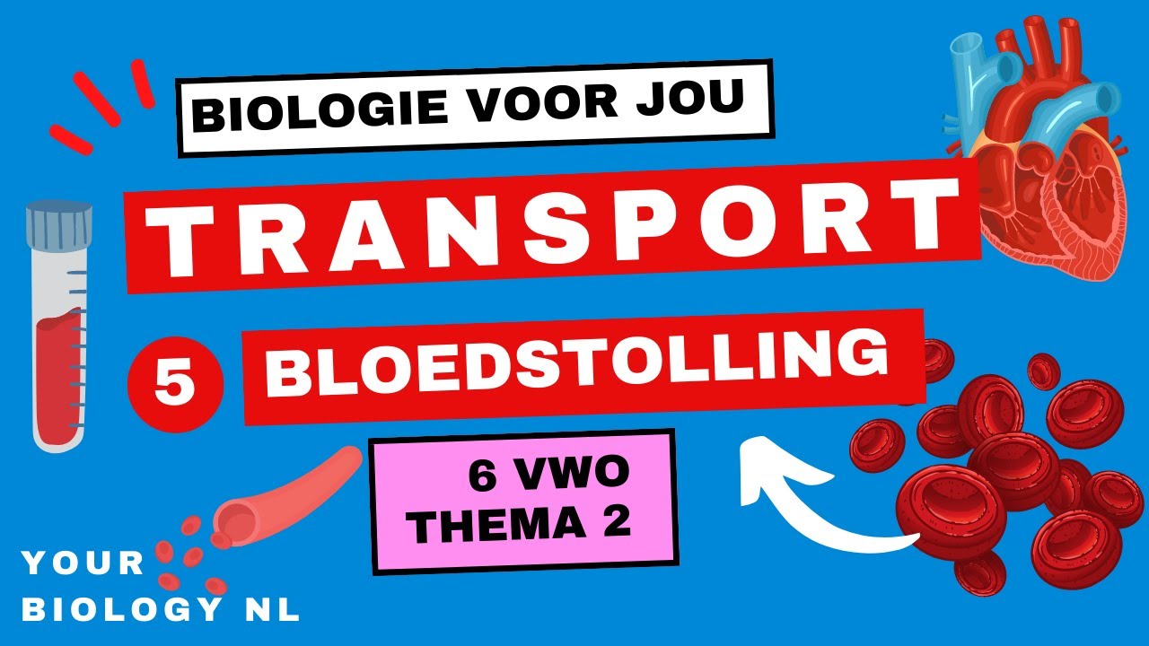 6 vwo | Transport | 5 | Bloedstolling