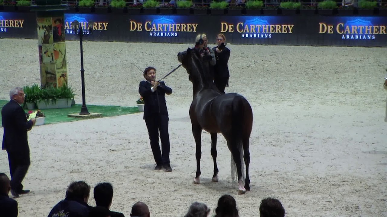 Memories of Paris 2017 - Part 3 - Wadee Al Shaqab