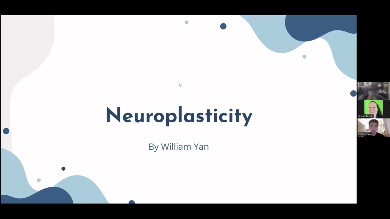 Neuroplasticity