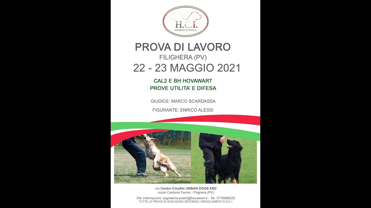 Prova di Utilità e Difesa Hovawart Club Italia Filighera PV 23/5/2021
