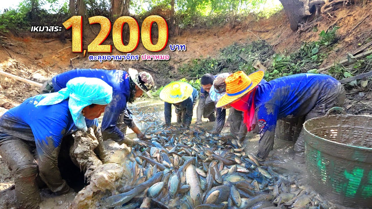 เหมาสระ 1,200 บาท สุดอลังการ ตะลุยอาณาจักรปลา 2 ธันวาคม 2566