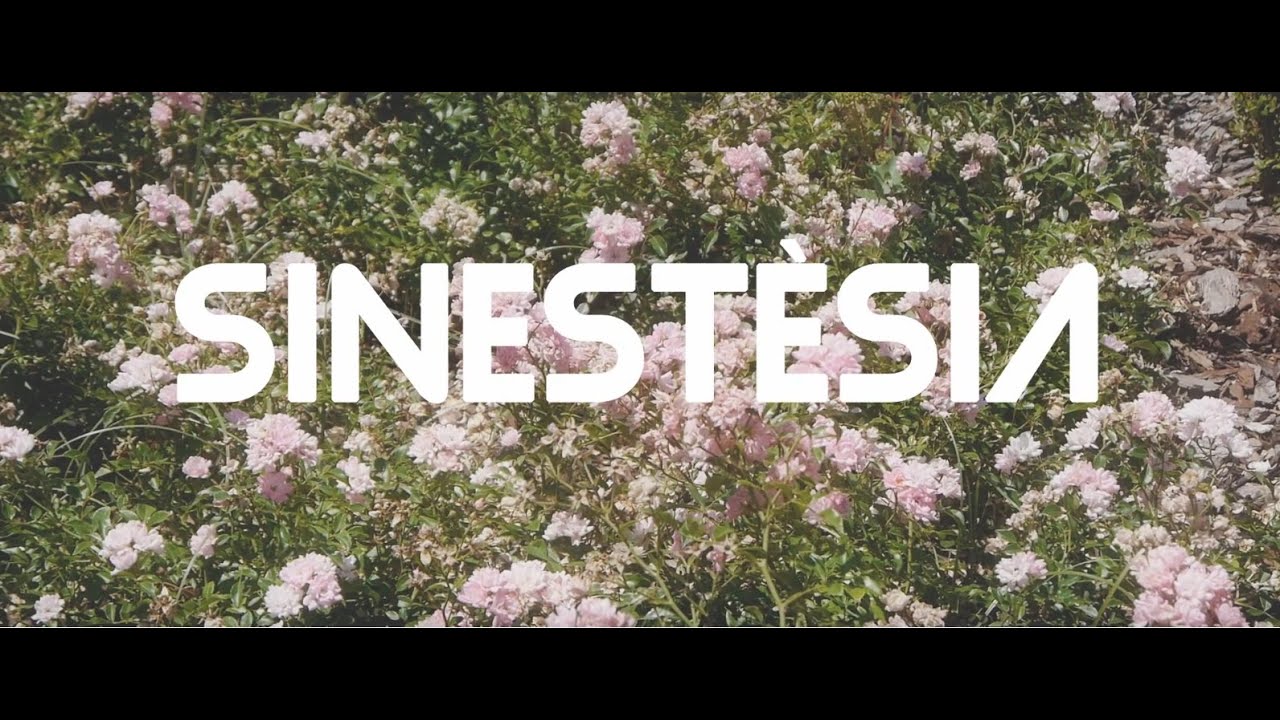 ELEN - Sinestèsia (Lyric Video)