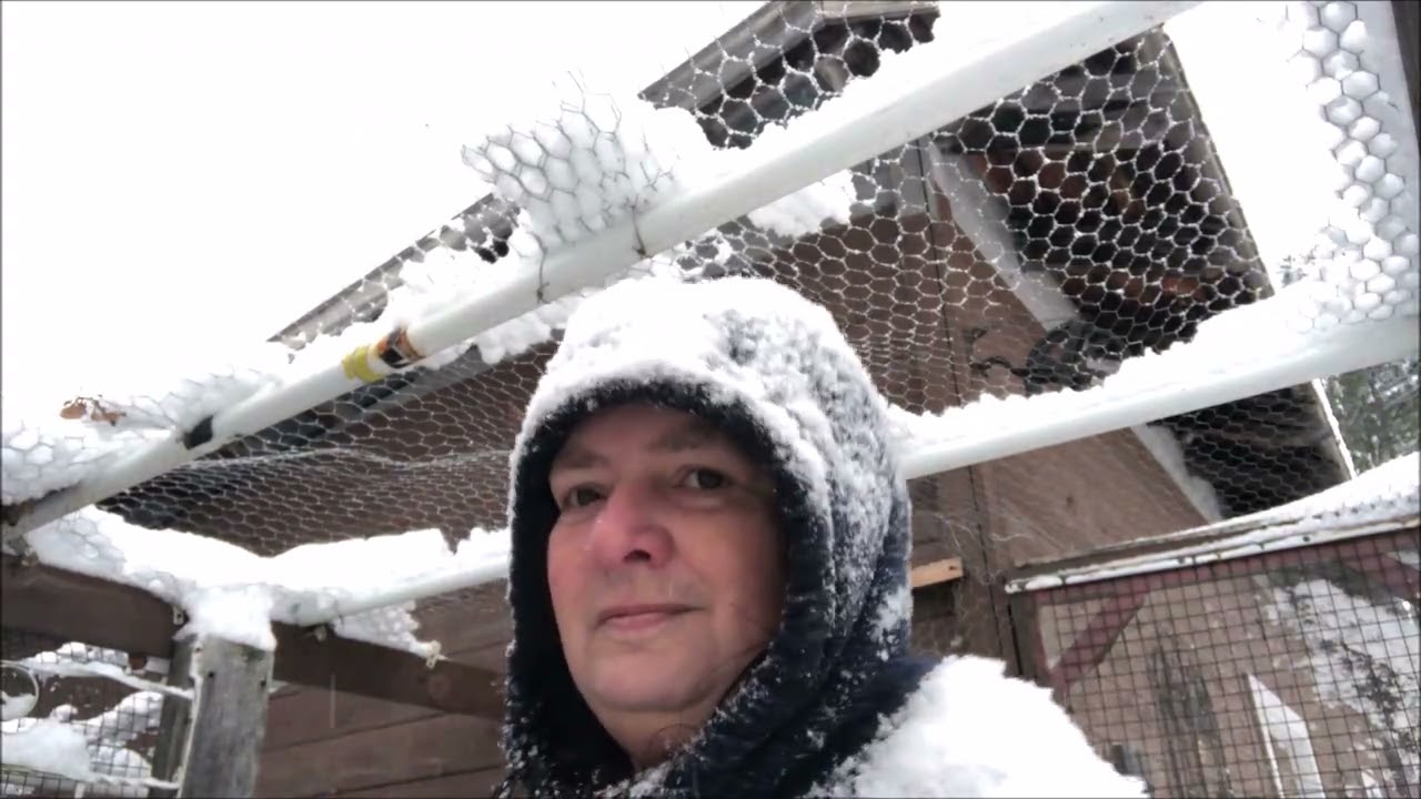 ABOMINABLE SNOWMAN