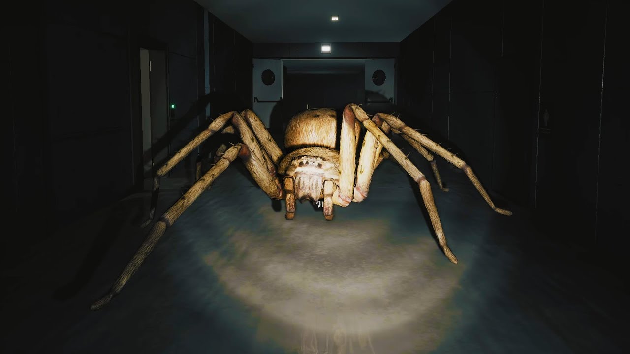 HUNTSMAN | CETTE ARAIGN&Eacute;E G&Eacute;ANTE D'AUSTRALIE EST TERRIFIANTE !!!