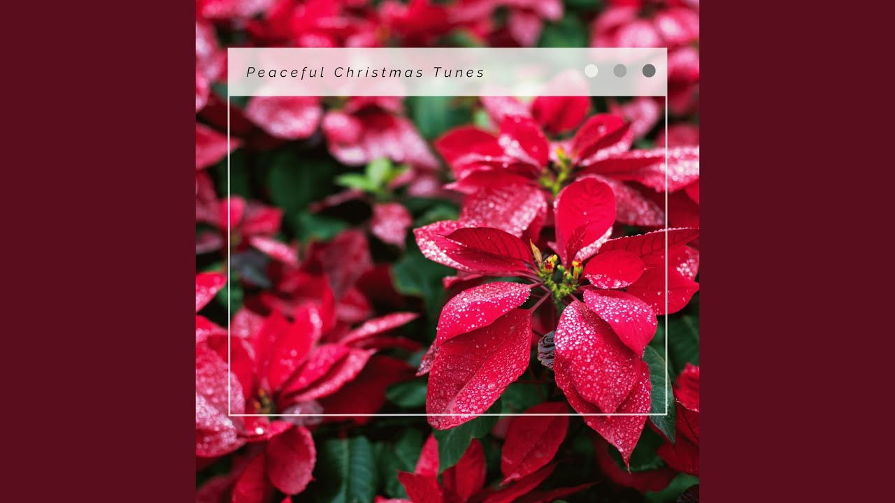 Carol Of The Bells: Road to Christmas