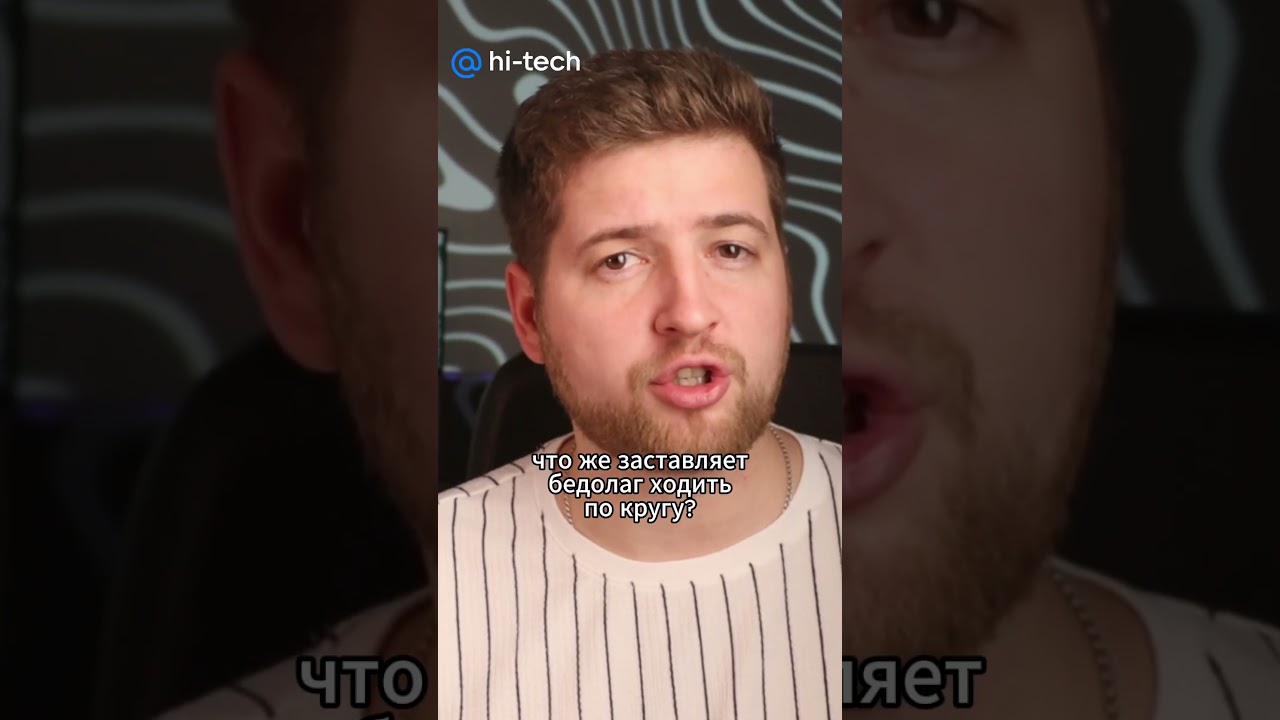 🐜 Муравьиная карусель смерти