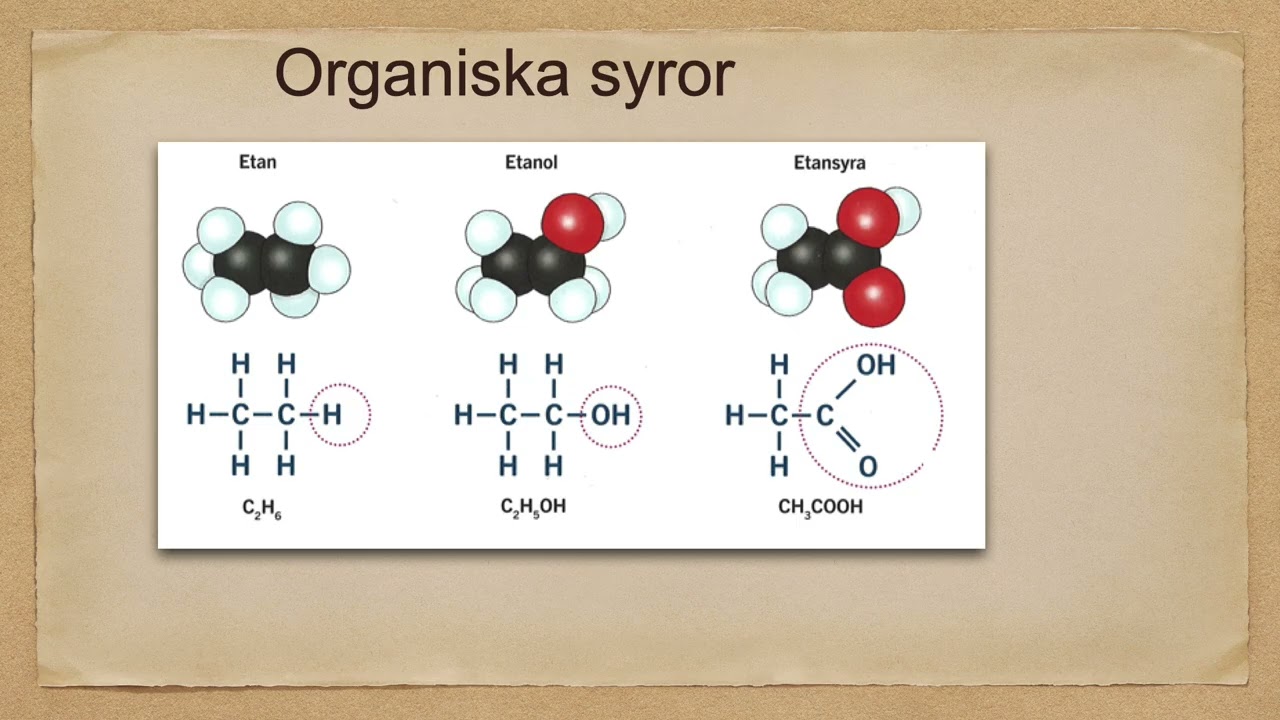 Organiska syror
