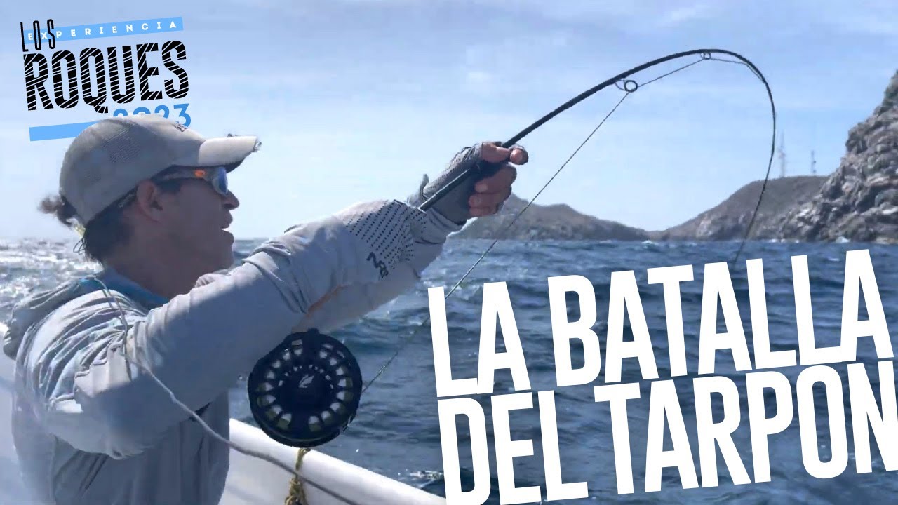 Experiencia Los Roques 2023: La batalla del tarpon.