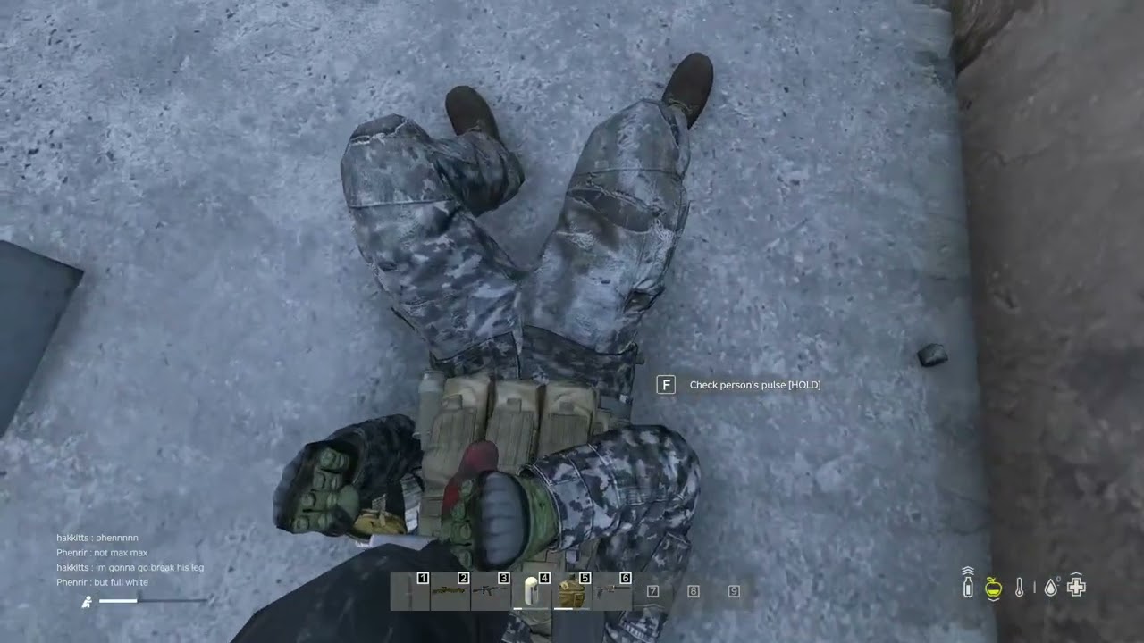DAYZ 