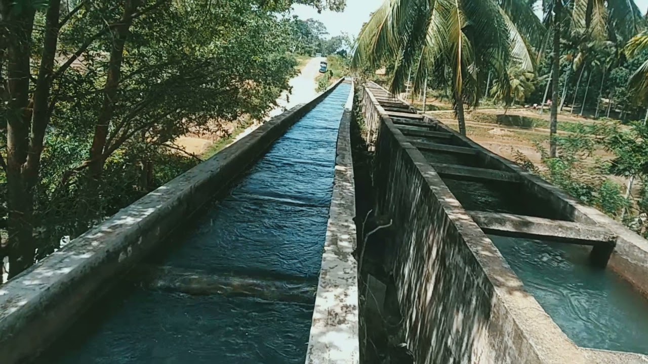 Ginipetti Palama  Muruthawela, Udawalawa