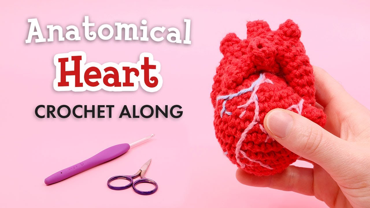 Anatomical Human Heart Amigurumi 🫀 🧶 - Live Crochet Along