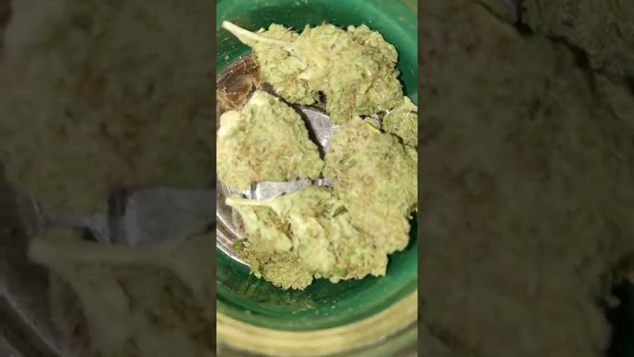 CROPS PURPLE PORTAL STRAIN