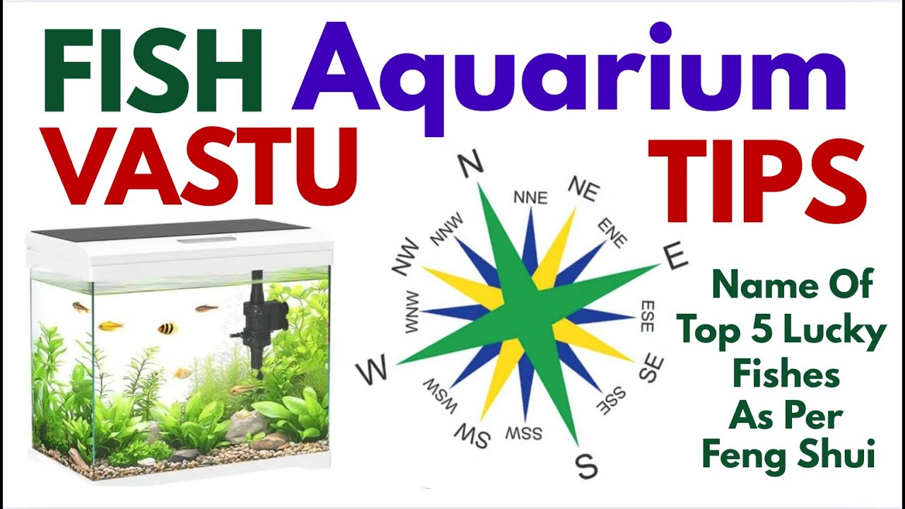 Vastu Tips For Fish Aquarium (Hindi)