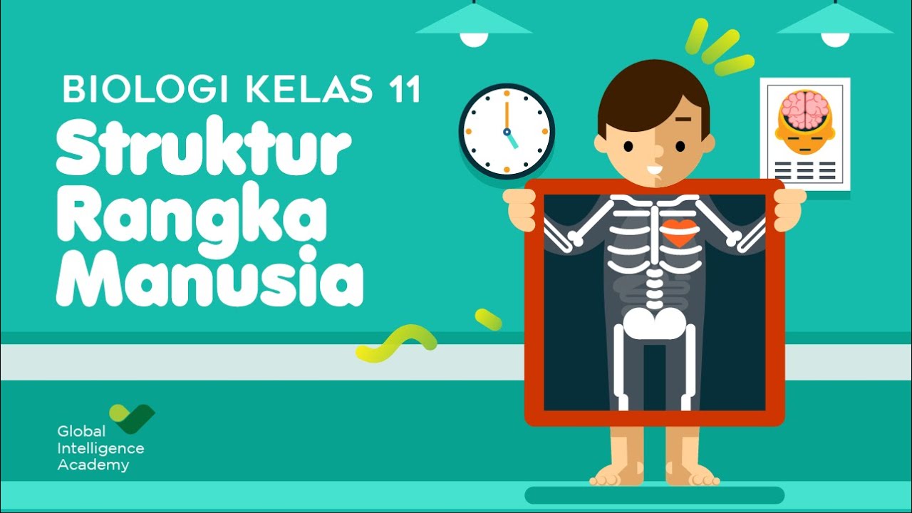 BIOLOGI Kelas 11 - Sistem Gerak Manusia (PART 1) | GIA Academy