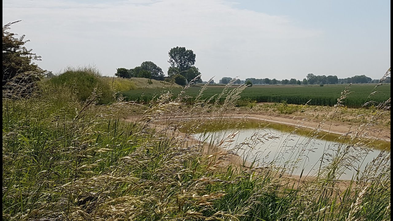 Aanleg kikkerpoel en struweelhaag boerderij Vinkenhorst Herwen