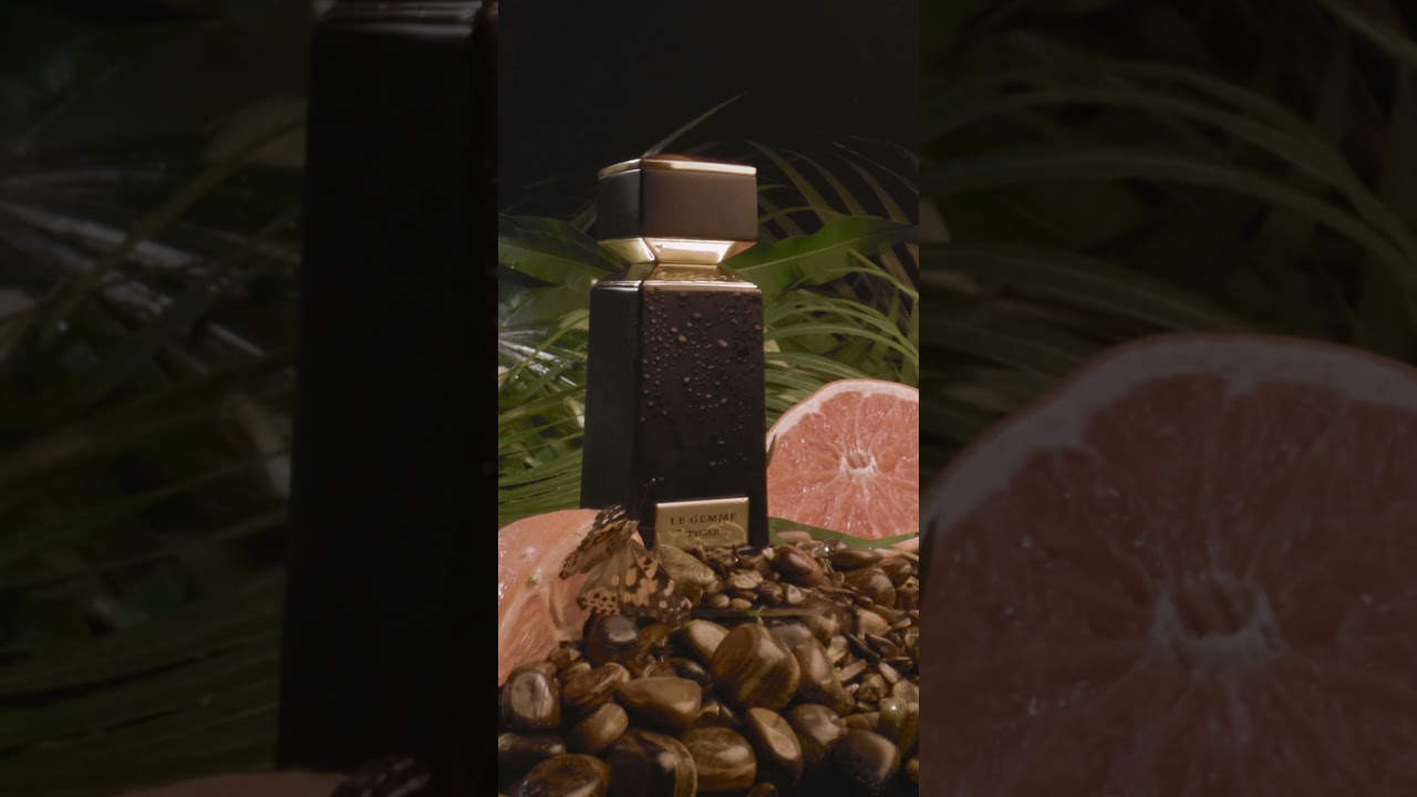 Promo Video - Bvlgari Le Gemme Tygar 1