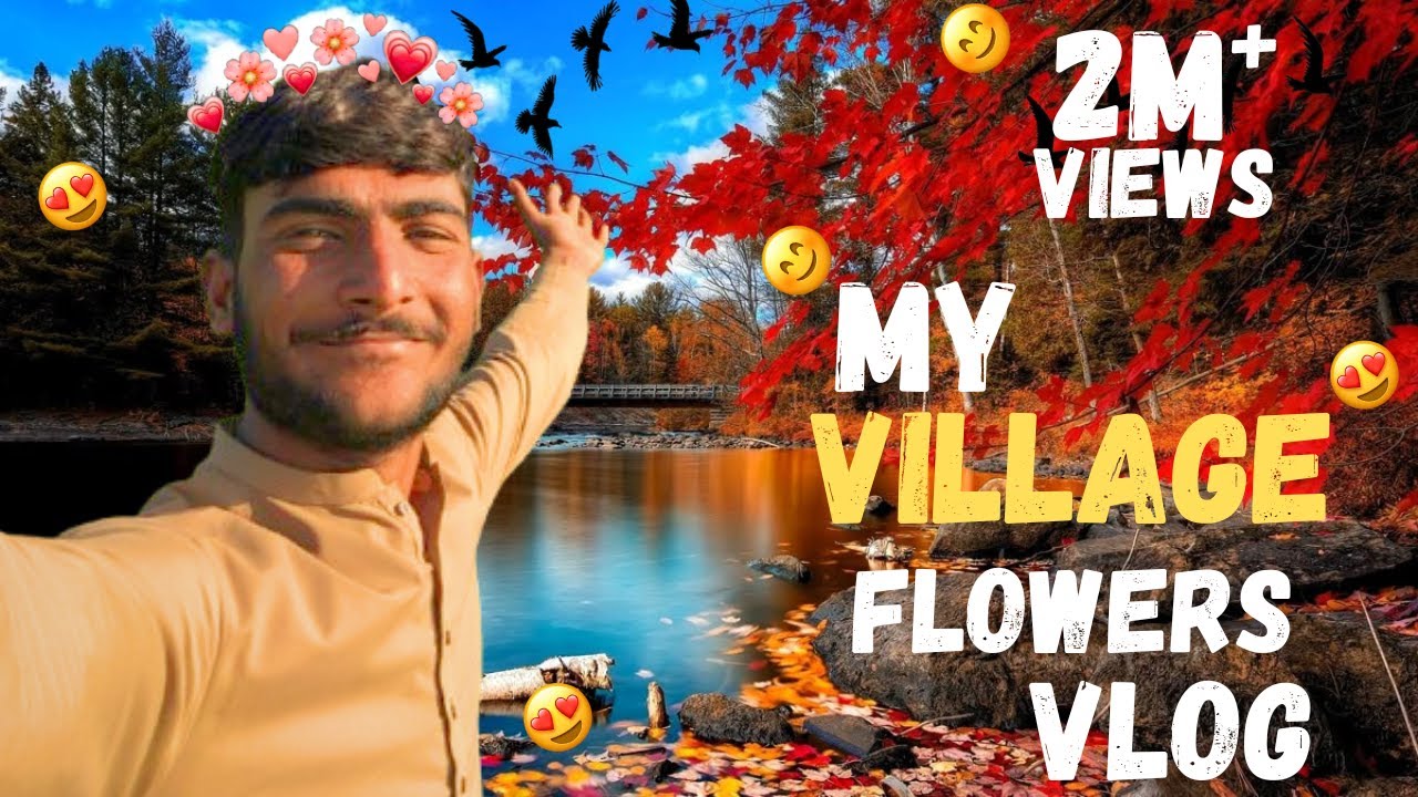 Gaon Ki Zindagi Aur Rang Birange Phool 🌼 | Village Vlog