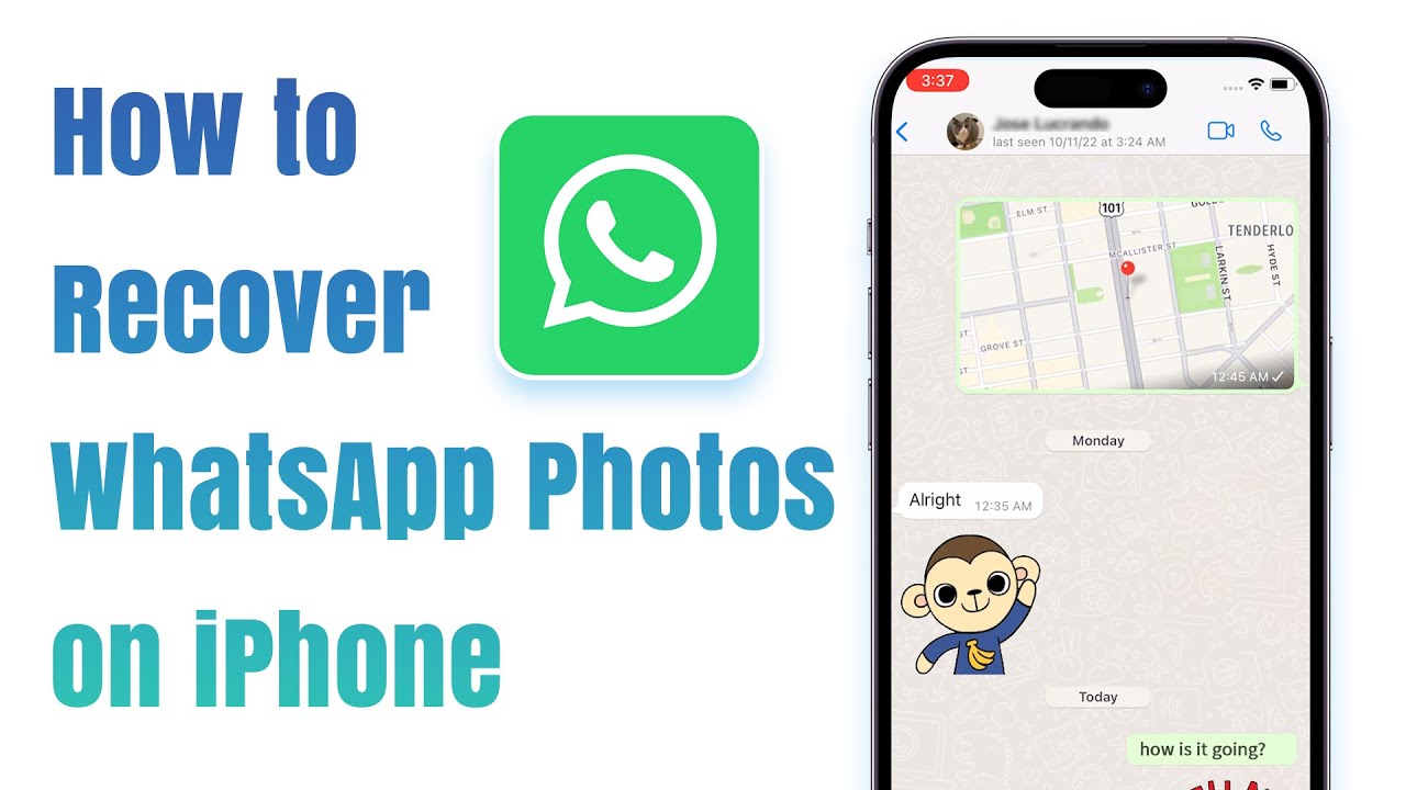 How to Recover WhatsApp Photos without Backup on iPhone | WhatsApp Recovery
