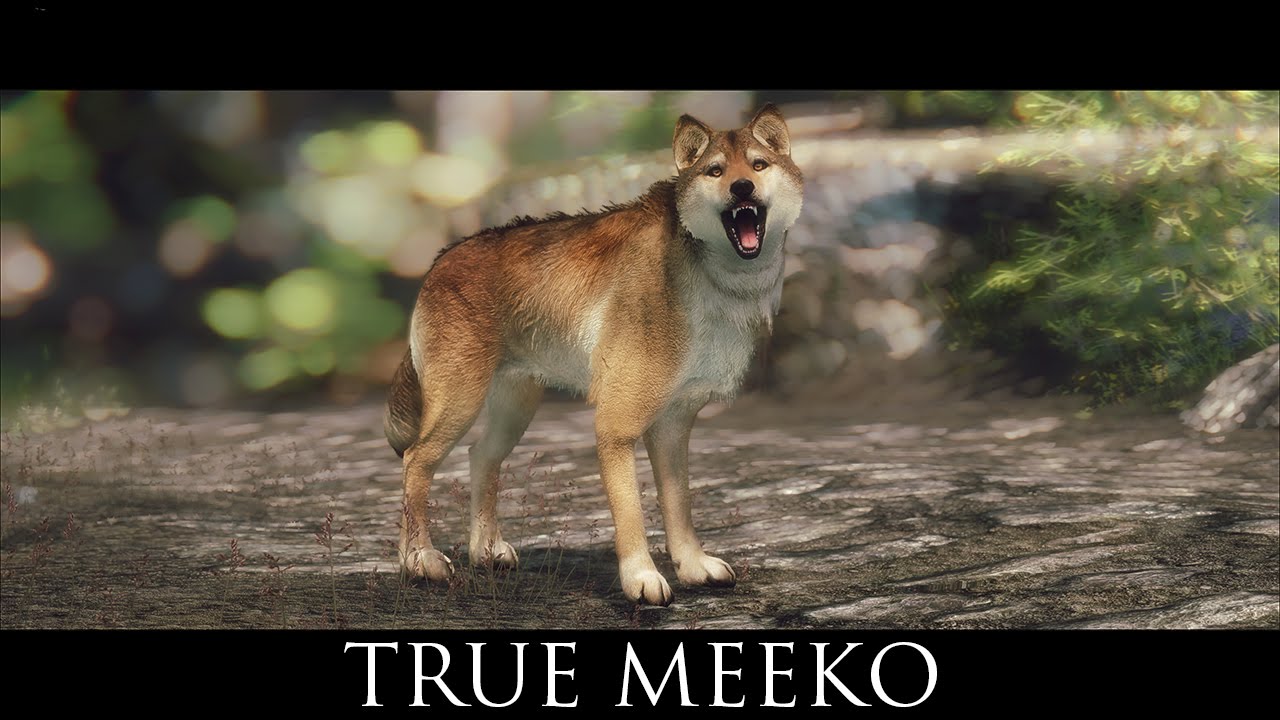 TES V - Skyrim Mods: True Meeko