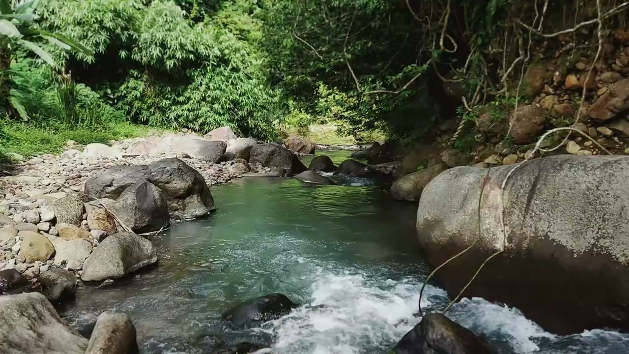 Flow to the Tranquility With Tropical River Sounds For Calm Productivity & Inner Peace