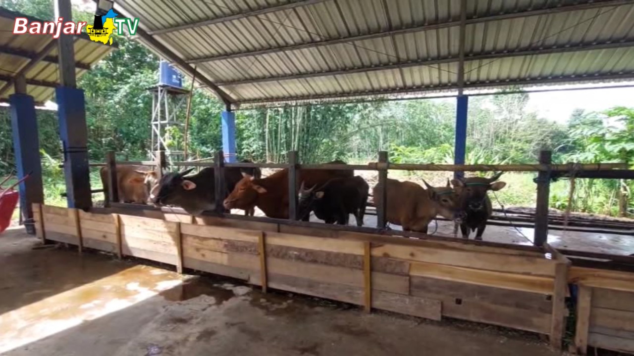 DISTAN BANJAR PERKETAT PENGAWASAN KESEHATAN HEWANI