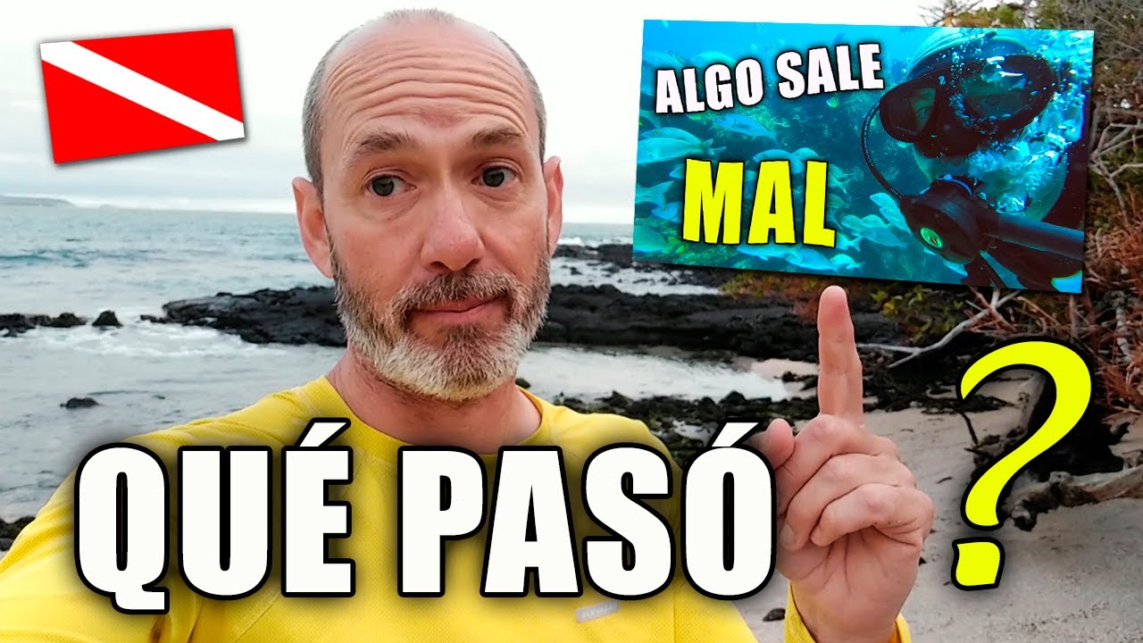 Si vas a BUCEAR en Galápagos, TENÉS QUE SABER ESTO❗