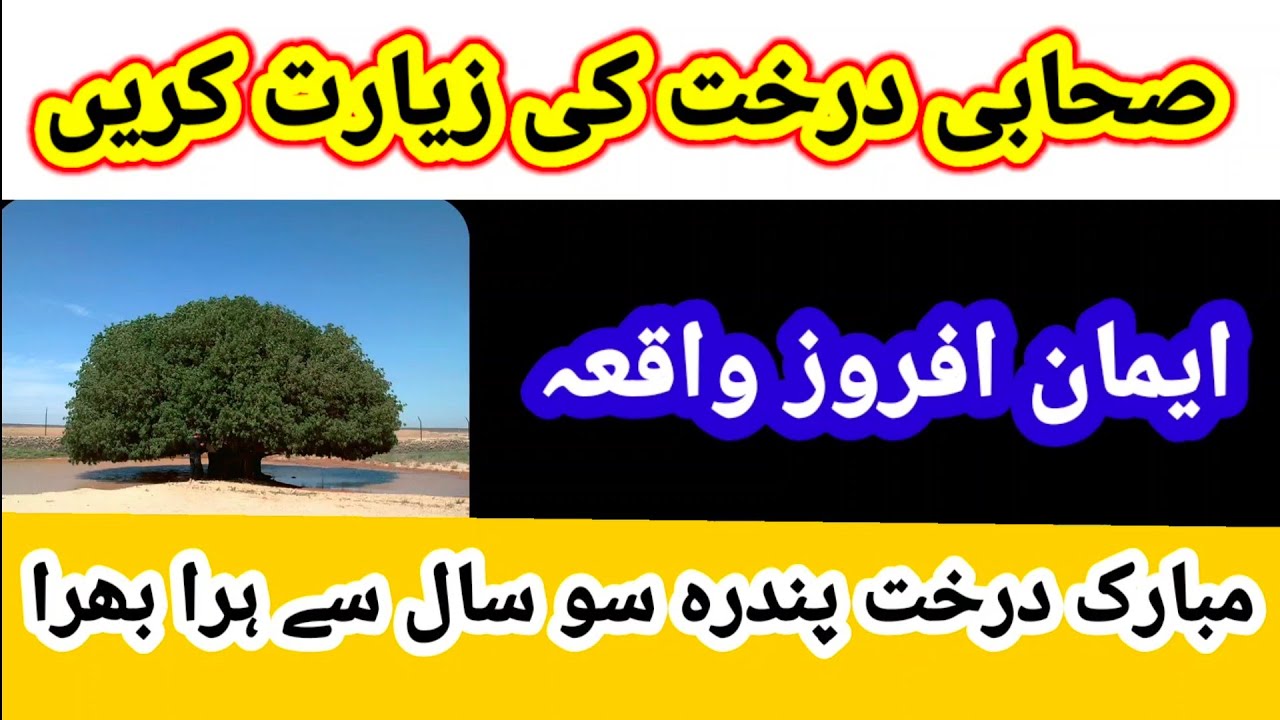 Sahabi tree ka waqiya  / Holy Tree in jordan