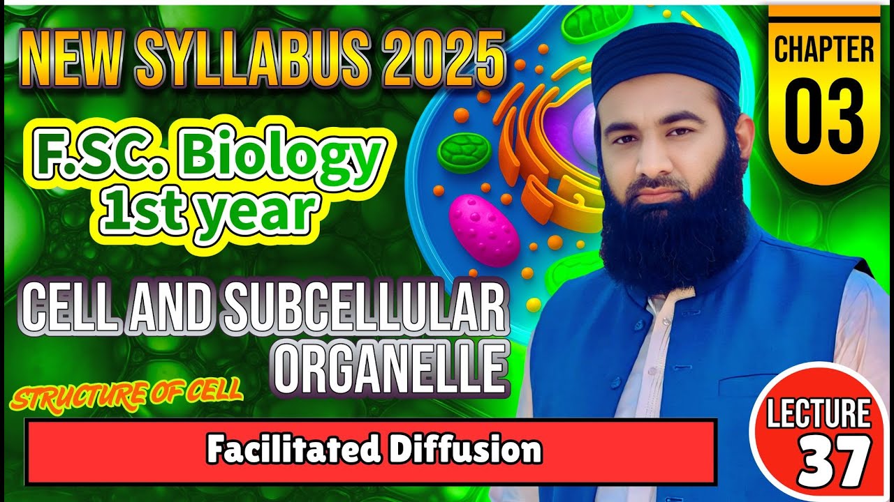 Facilitated diffusion