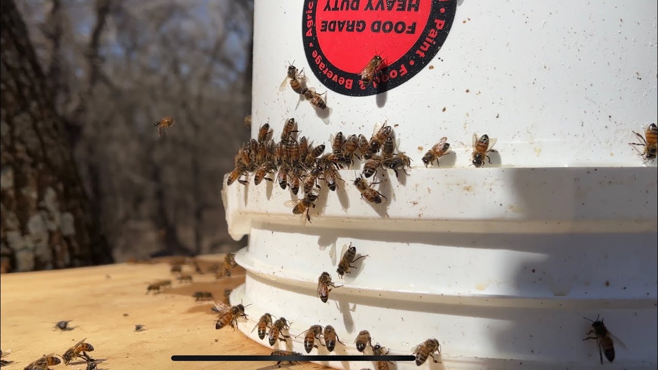 Free plans 5 Gallon Bucket Bee Sugar Feeder