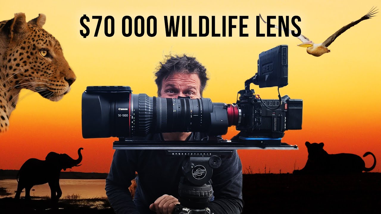 Съёмка дикой природы в Ботсване с объективом за 70 000 долларов — Canon CN20x50 50-1000mm #дикая ...