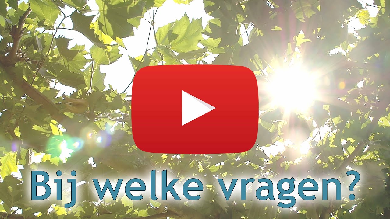 Bij welke vragen is Voice Dialogue geschikt? |  Voice Dialogue Academie